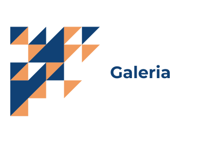 Neste campo tem a galeria de imagens e vídeos do Programa LideraGOV.