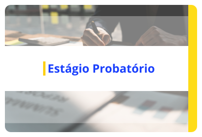 Página do Estágio Probatório