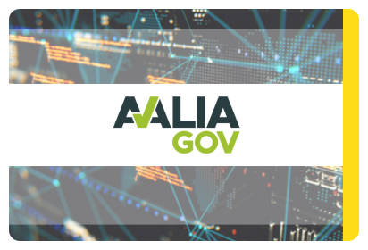 Página do sistema informatizado AvaliaGOV