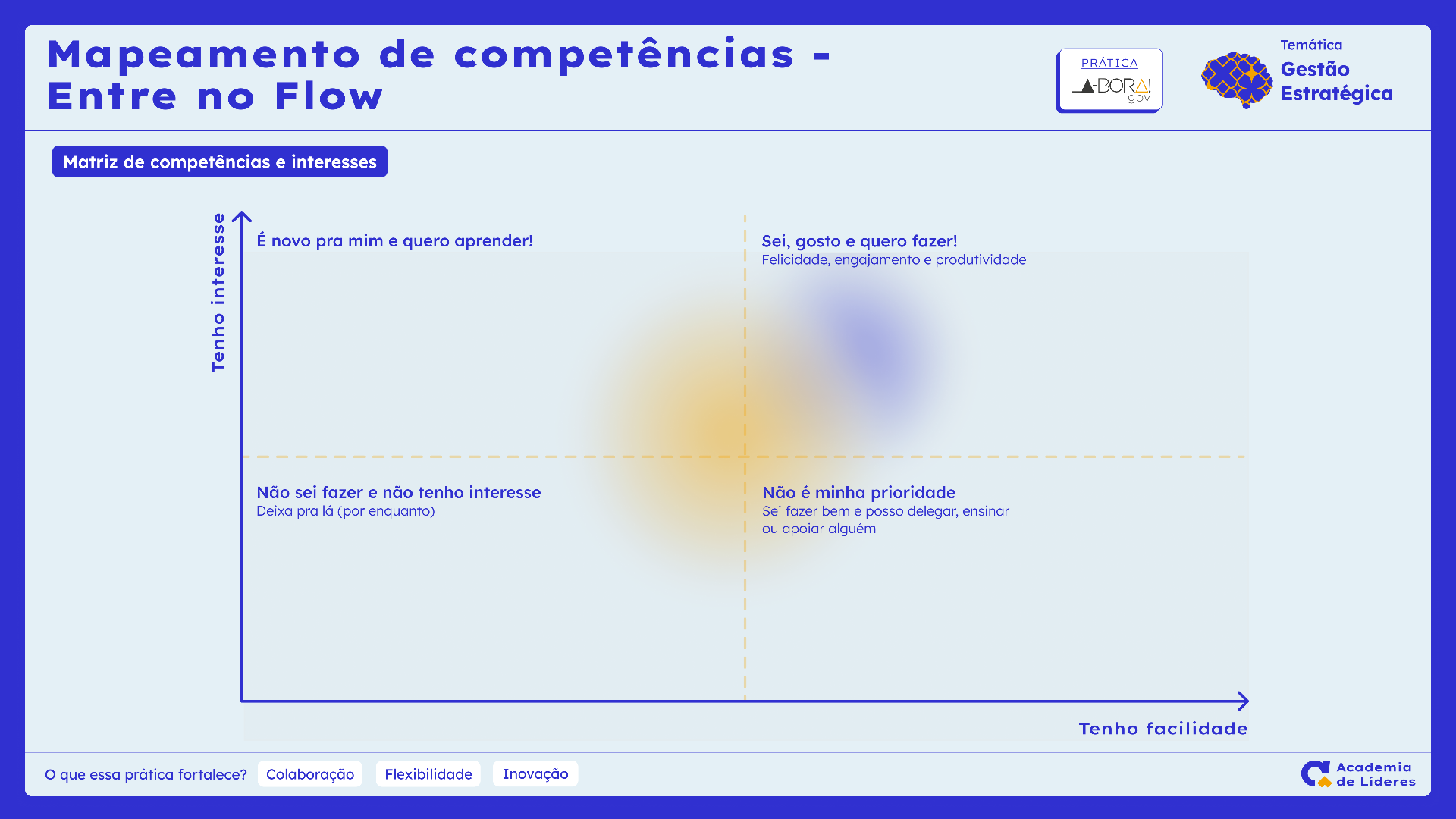 Modelo Matriz de Competências e Interesses.png