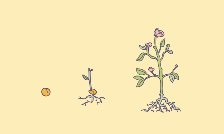 Gestão Inclusiva e Diversidade