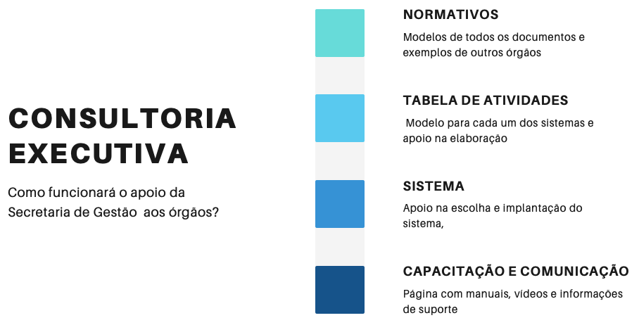 Consultoria Executiva.png