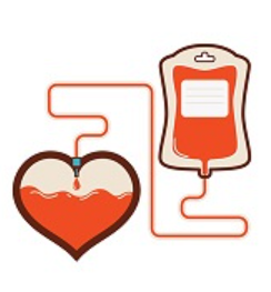 Captura de tela 2025-05-28 091125.png