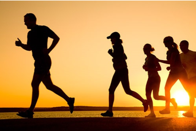 Captura de tela 2025-05-22 121258.png