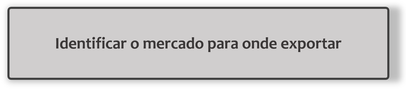 Identificar_o_mercado_para_onde_exportar_31.png
