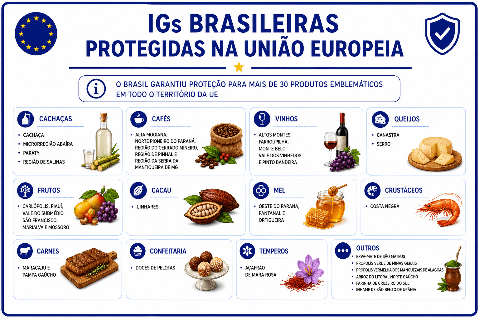 5.IGsbrasileitasprotegidasnaUE_NOVA.png