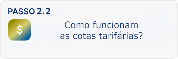 Conecta card 2-2 cotas tarifarias.png