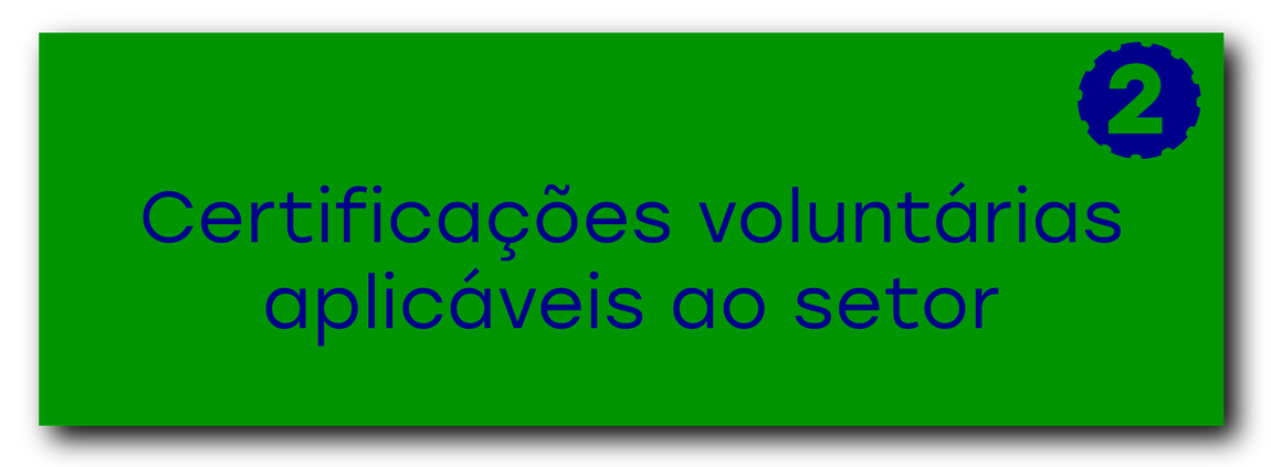 Cap 3 subcard 1 - certificacoes voluntarias.png
