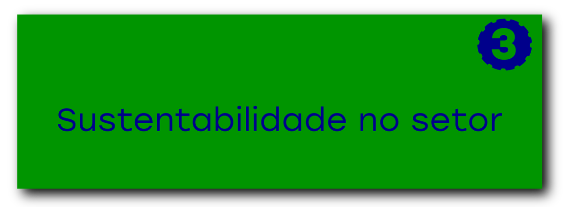 Cap 3 subcard 2 - sustentabilidade no setor.png