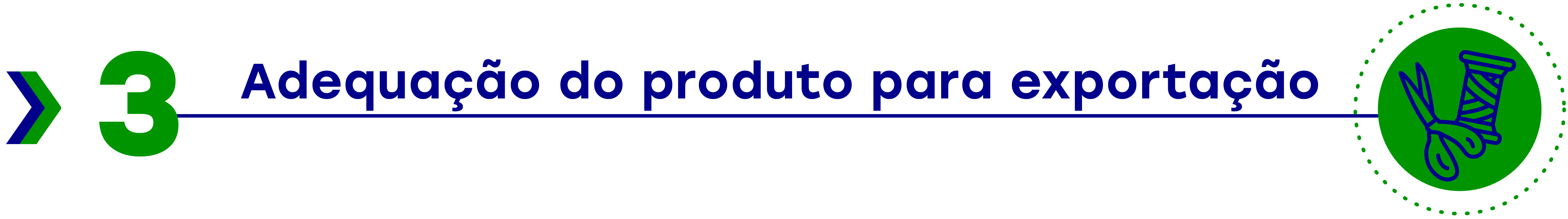Cabeçalho adequação do produto para exportação