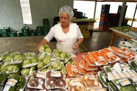 29.04.2013 - Prazo de recebimento de pré-projetos para o programa Terra Forte é prorrogado