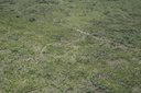 Foto: Silvano Fernandes/Funai