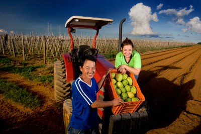 Plano Safra da Agricultura Familiar