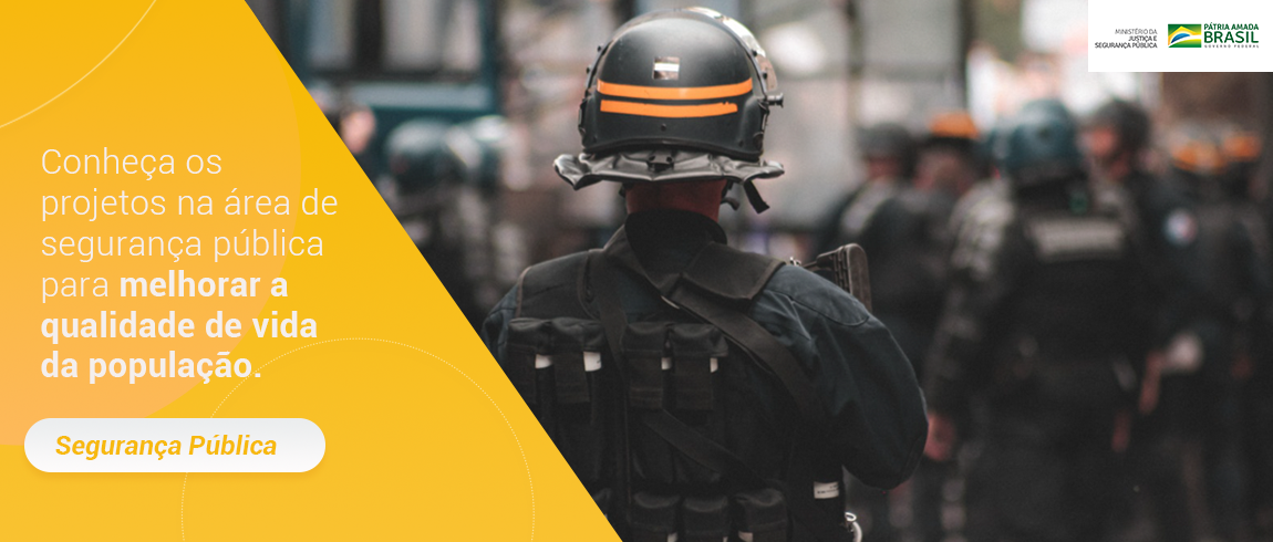 Segurança pública