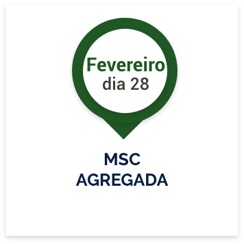 Dia 28 de fevereiro: MSC agregada