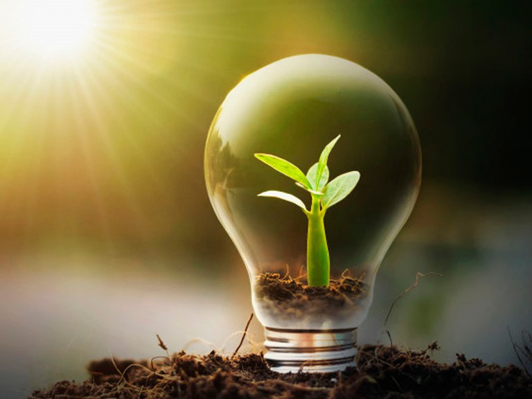 materia amacro site.jpg