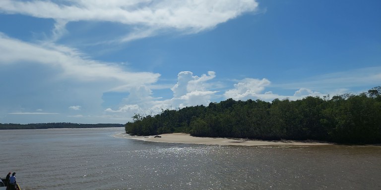 Design sem nome (1) (1).jpg