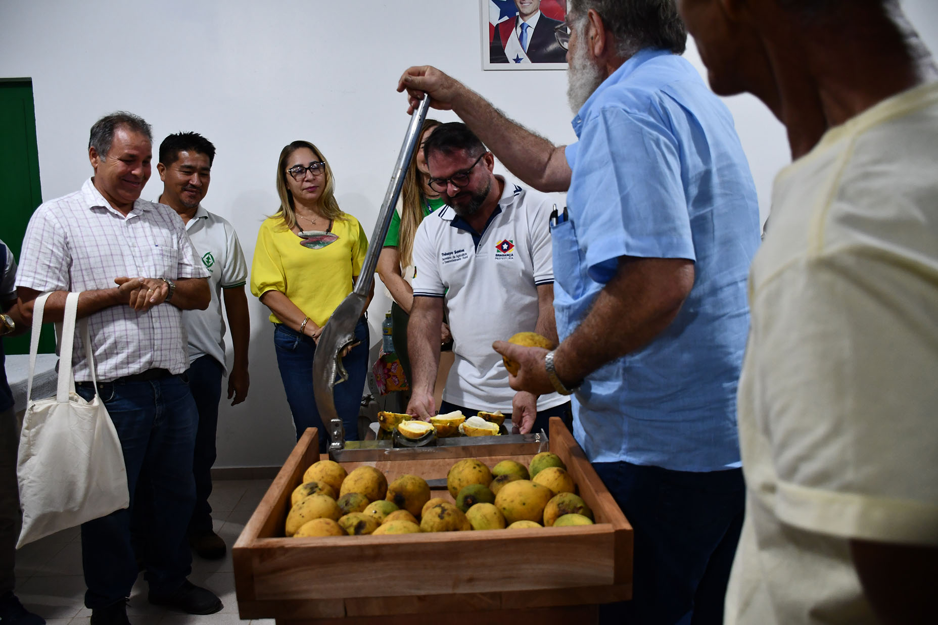 Com financiamento da Sudam e pesquisa da Embrapa, é lançada em Bragança a “Quebradeira de Bacuri”