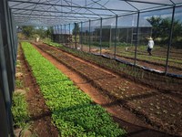 Horta e Pomar trazem mais desenvolvimento para Goiás