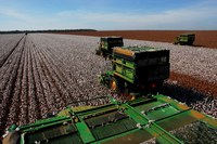 Apoio do Fundo aos Arranjos Produtivos Locais do DF