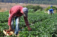 FCO Rural alavanca a agricultura familiar