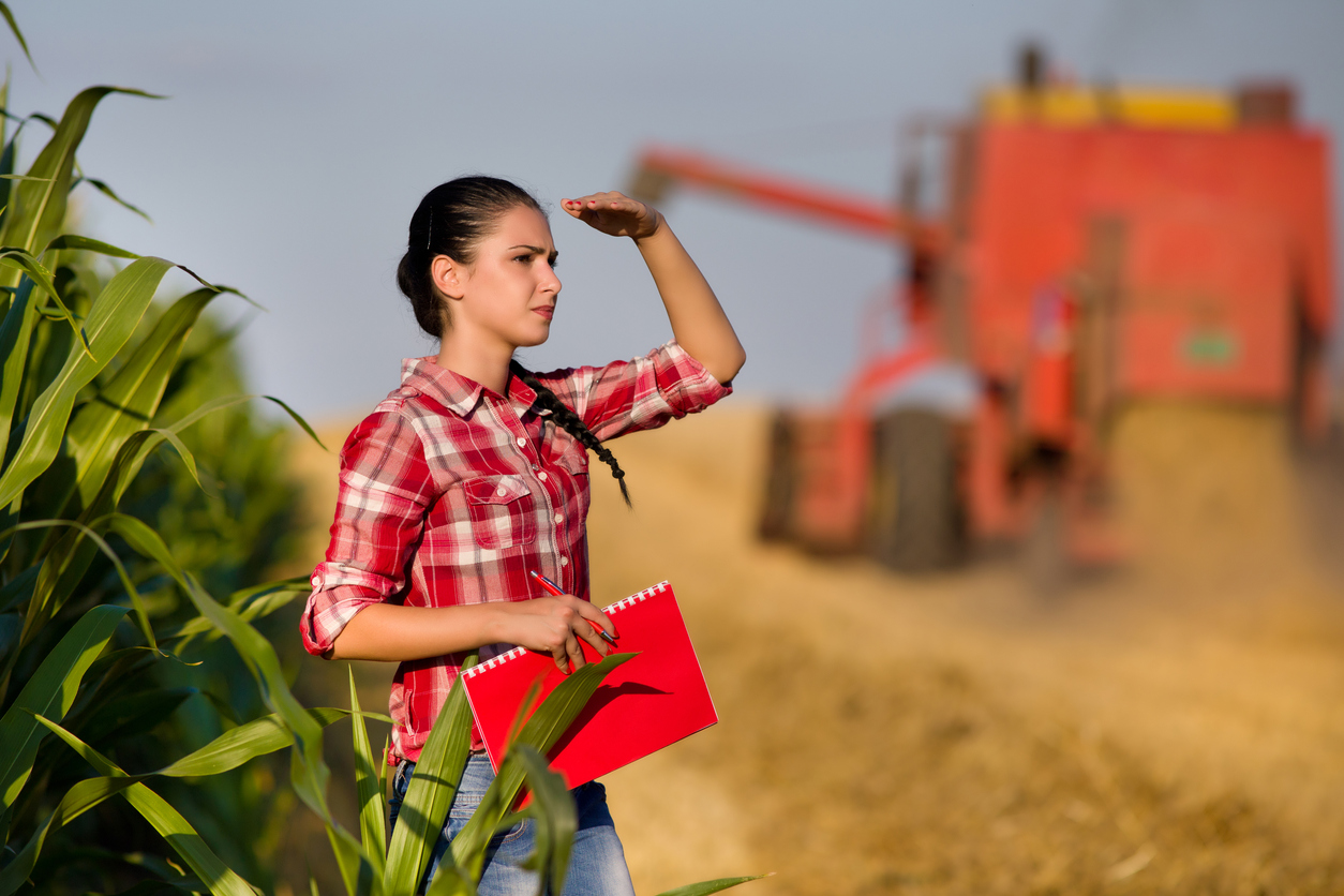 iStock-481756478.jpg