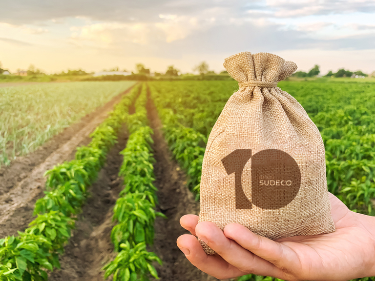 credito-rural 10 anos.png