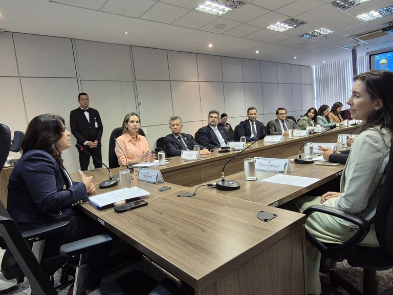 reunião de autoavaliação de Integridade Pública de 2024