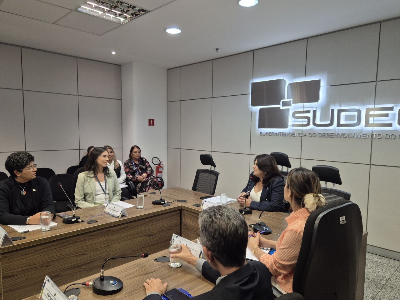 reunião de autoavaliação de Integridade Pública de 2024