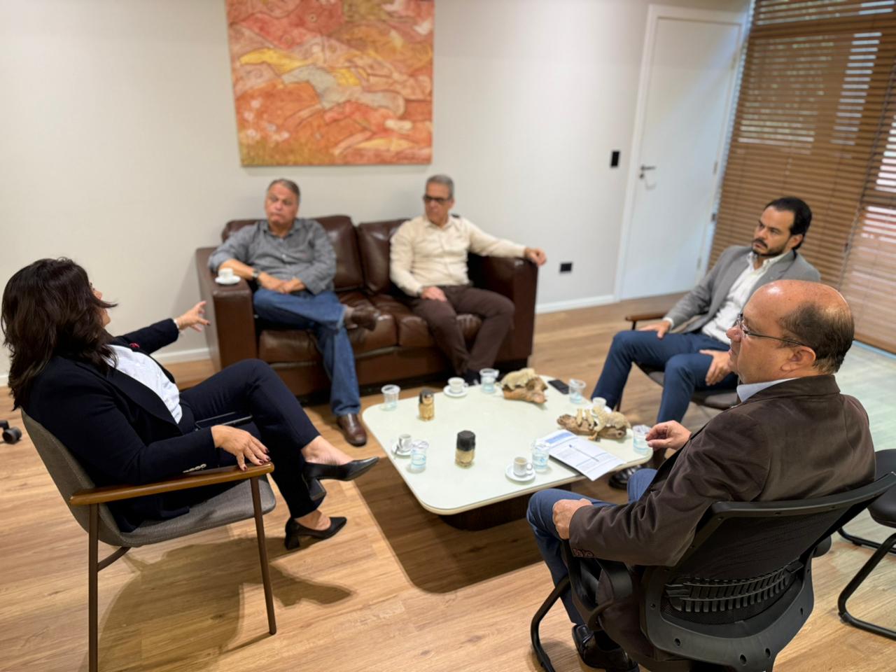 ponta porã (4).jpeg