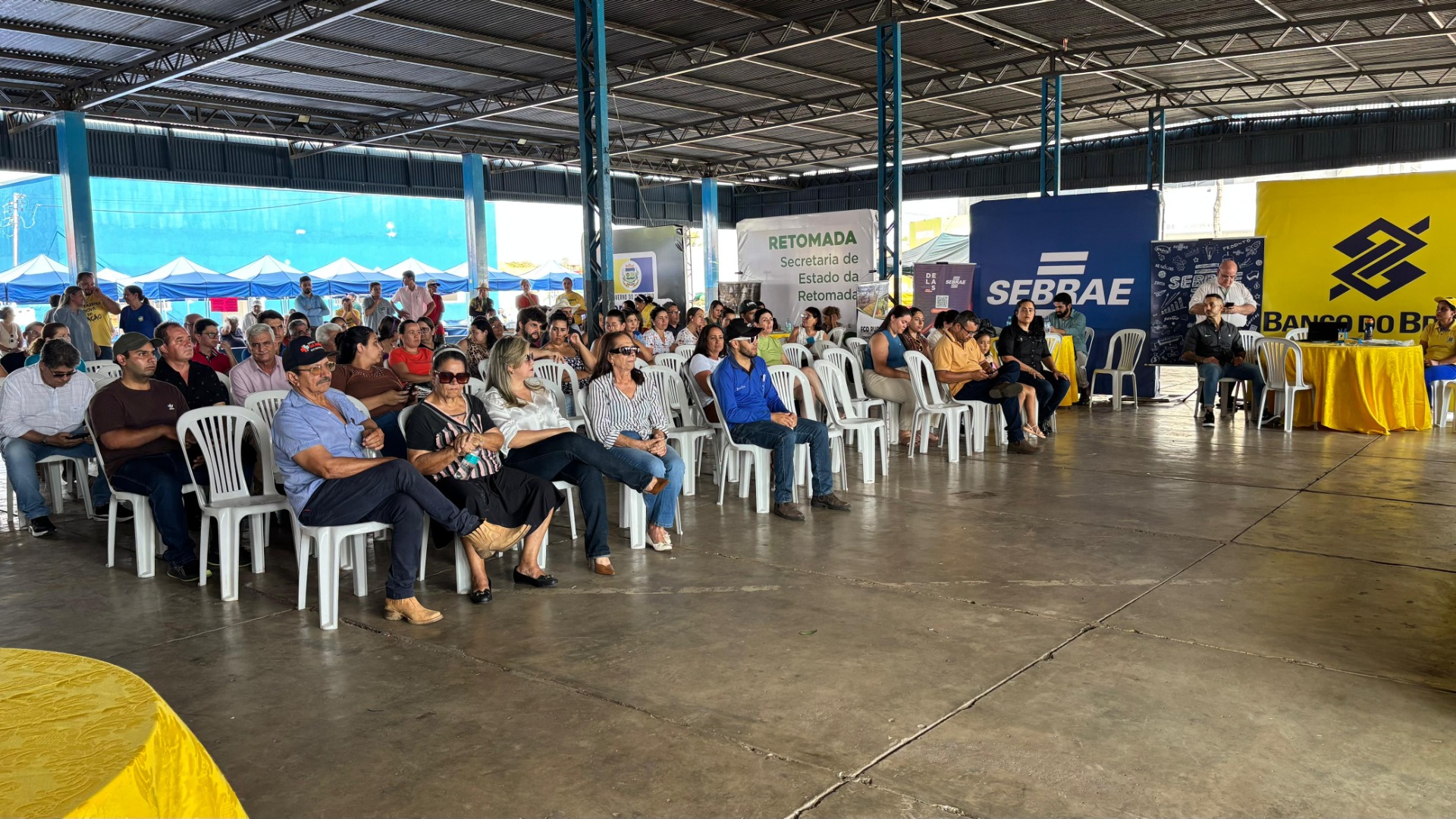 fazenda nova - GO (8).jpg