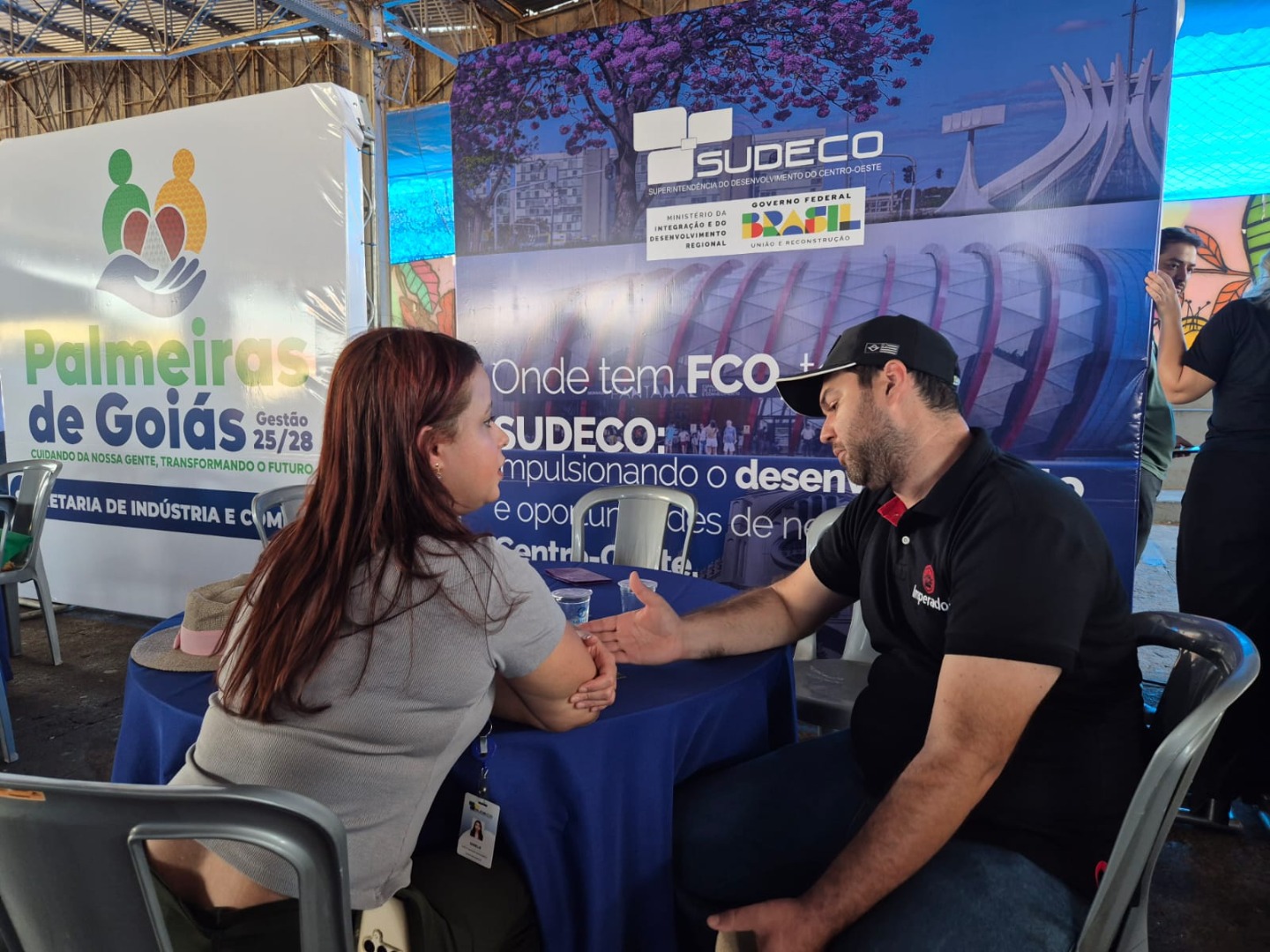 Palmeiras de Goiás - GO (100).jpg