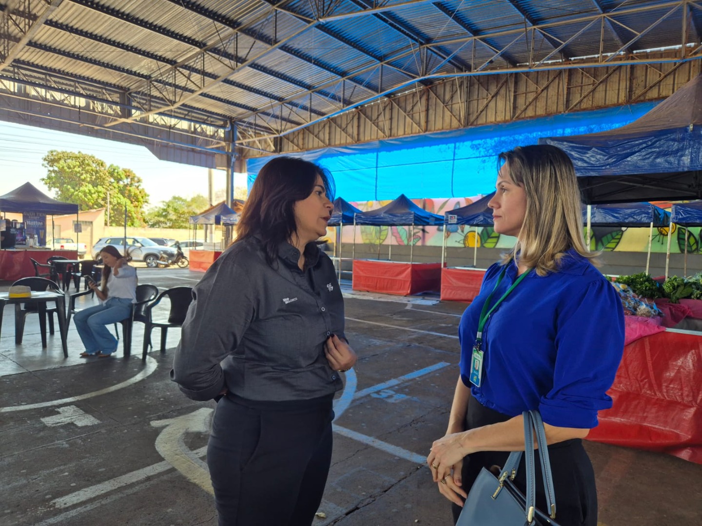 Palmeiras de Goiás - GO (101).jpg