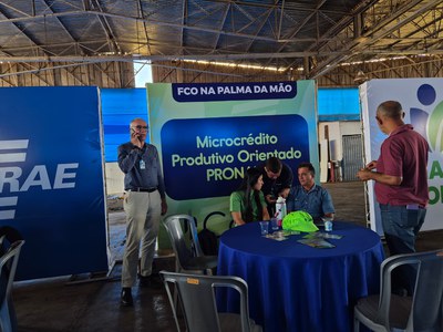 Palmeiras de Goiás - GO (104).jpg