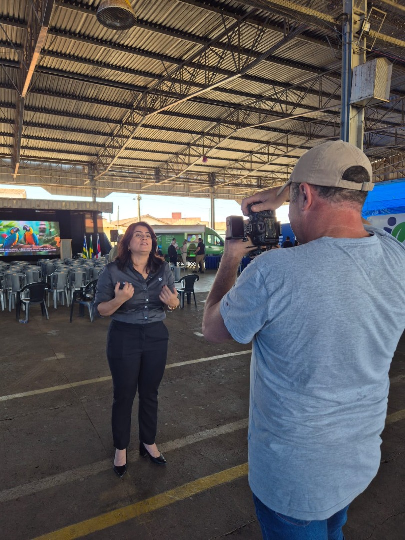 Palmeiras de Goiás - GO (108).jpg