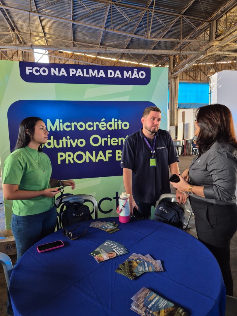 Palmeiras de Goiás - GO (12).jpg