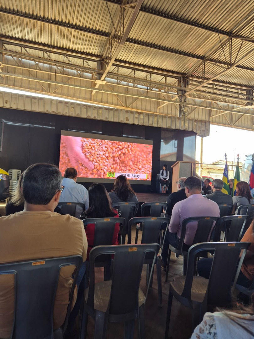 Palmeiras de Goiás - GO (14).jpg