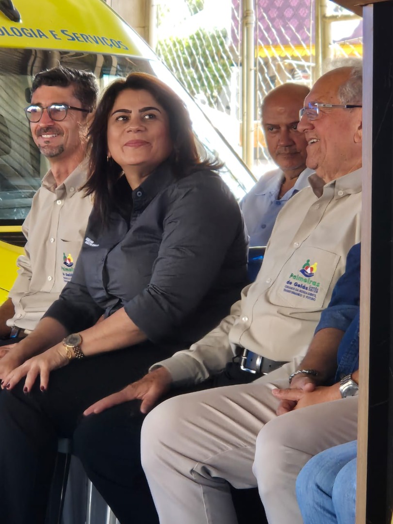 Palmeiras de Goiás - GO (18).jpg