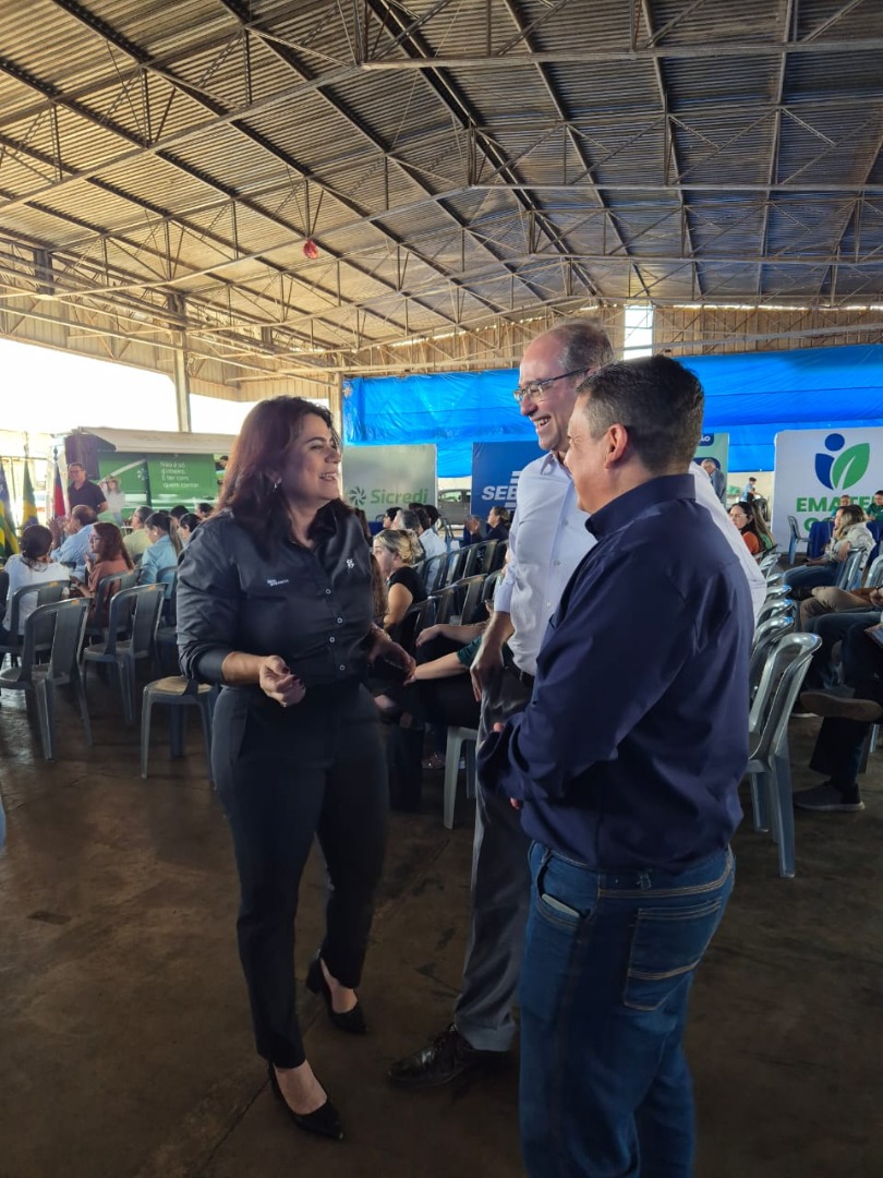 Palmeiras de Goiás - GO (20).jpg