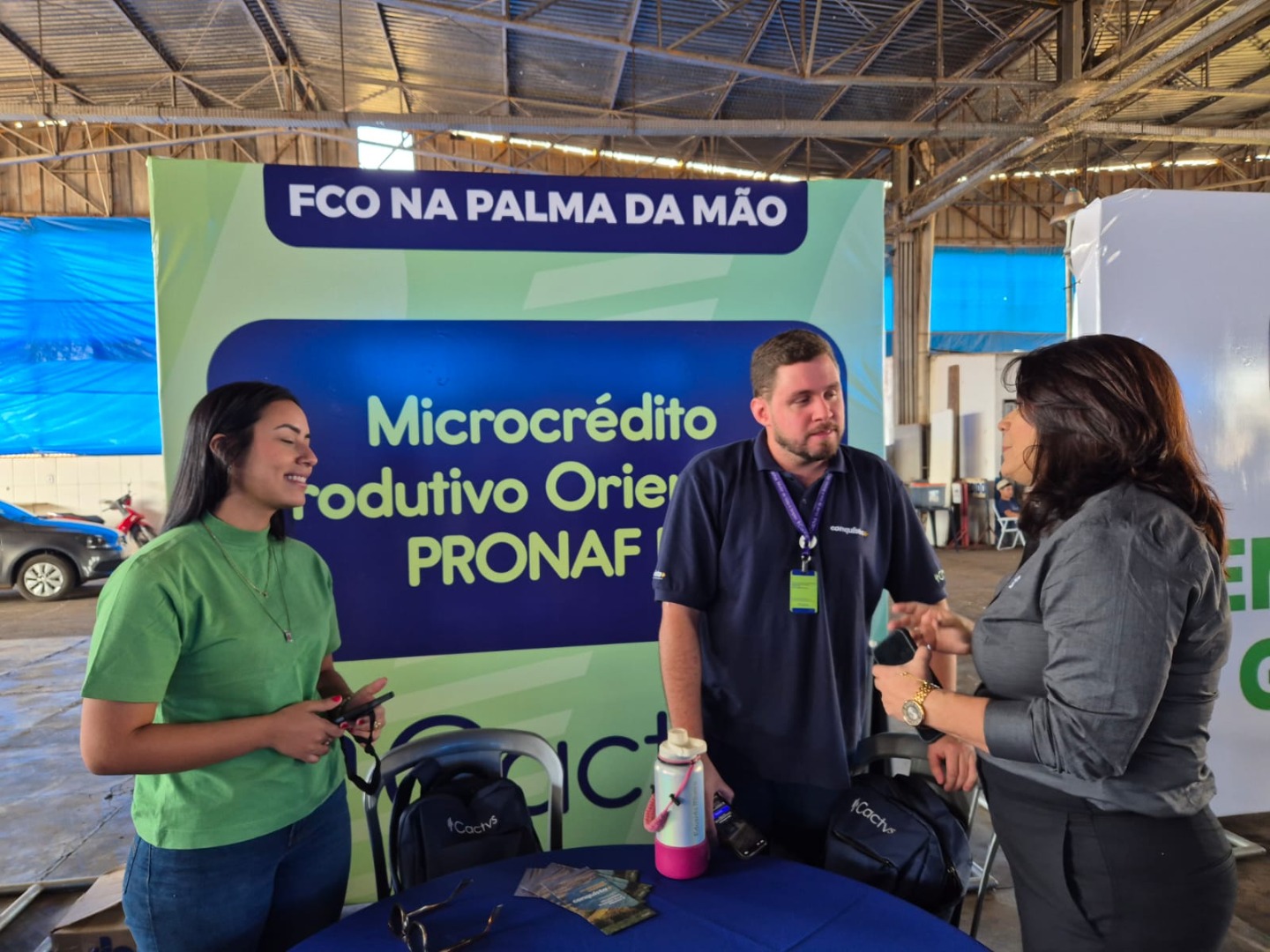 Palmeiras de Goiás - GO (21).jpg