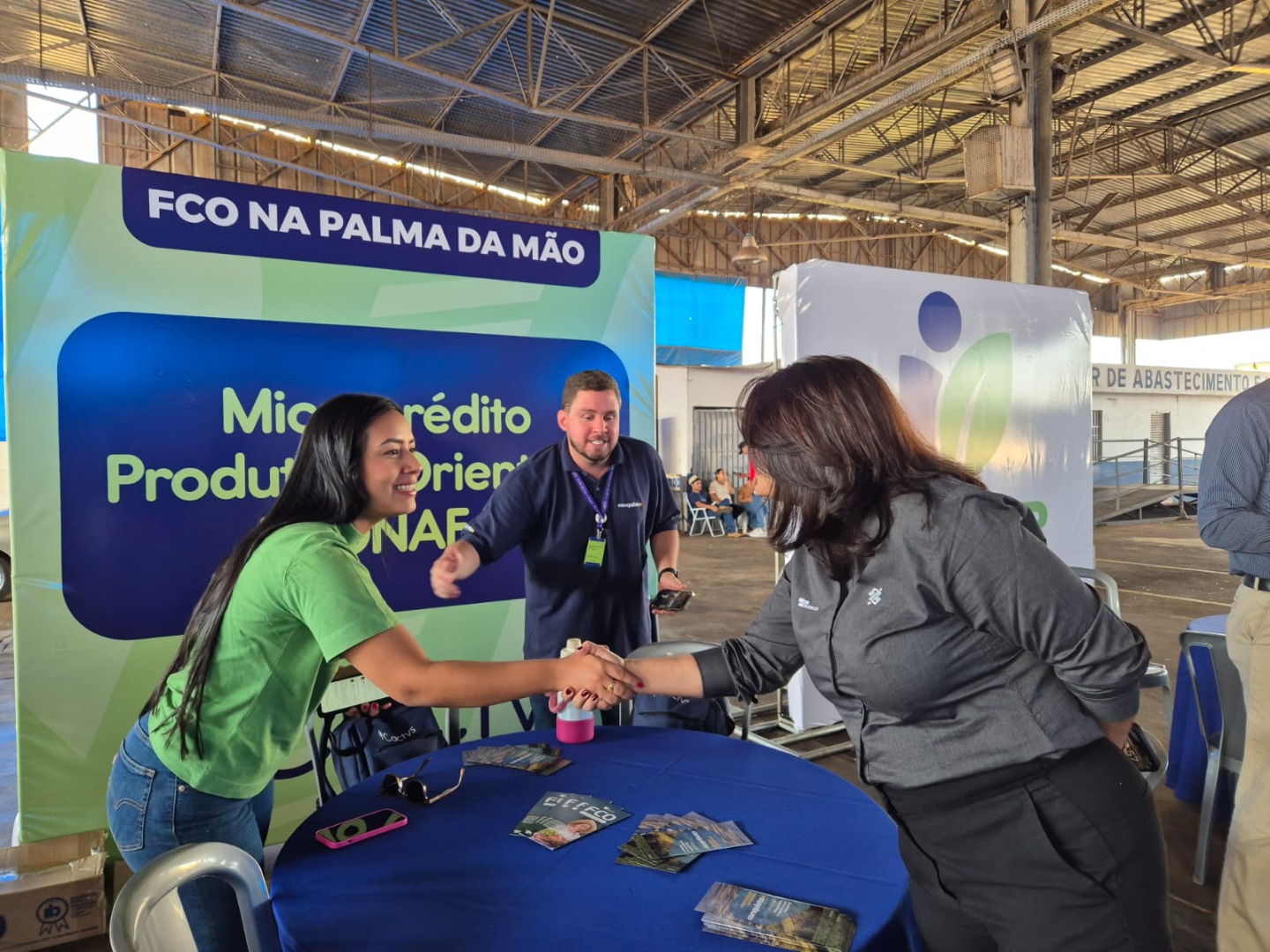 Palmeiras de Goiás - GO (25).jpg