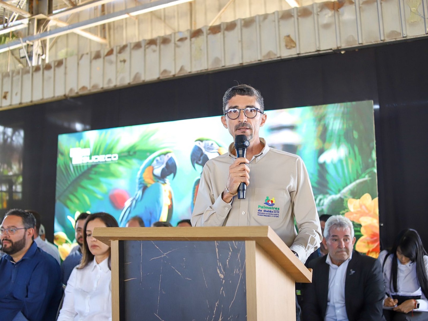 Palmeiras de Goiás - GO (30).jpg