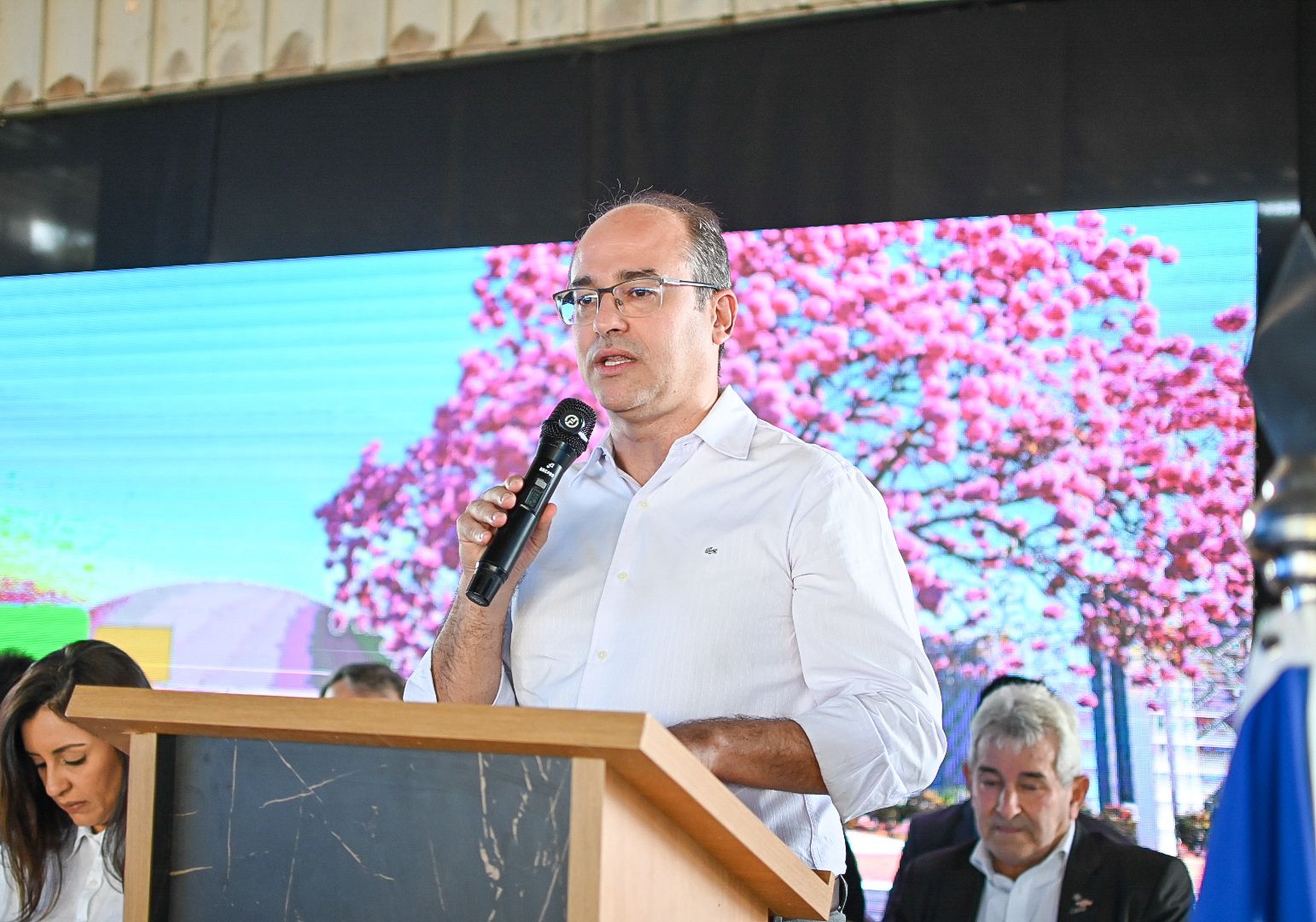 Palmeiras de Goiás - GO (31).jpg