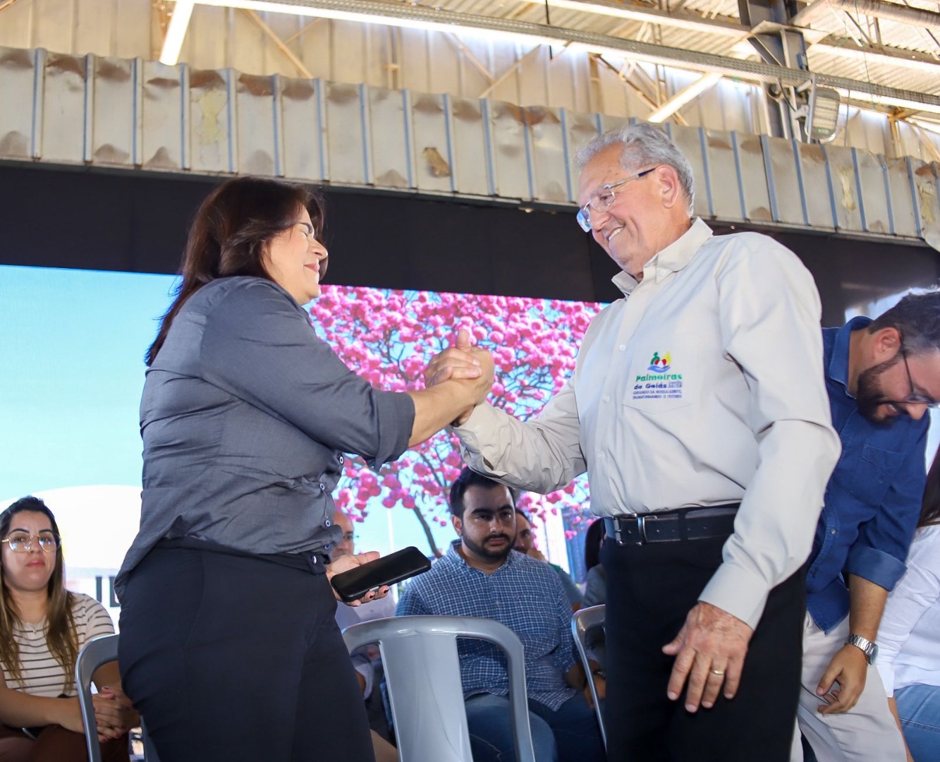 Palmeiras de Goiás - GO (36).jpg