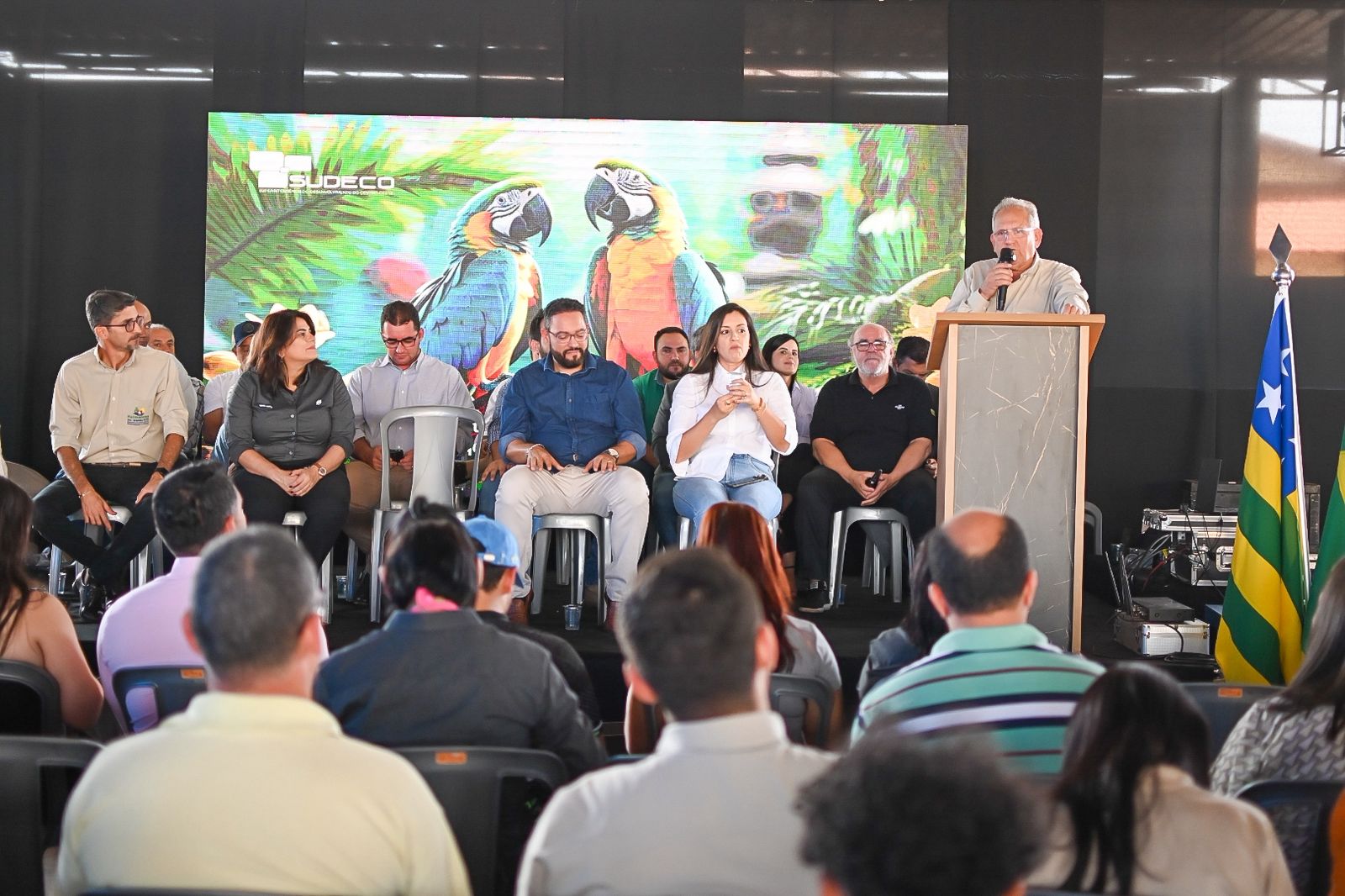 Palmeiras de Goiás - GO (37).jpg