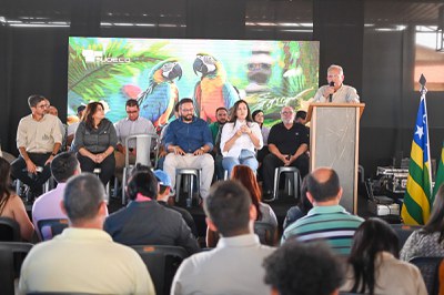 Palmeiras de Goiás - GO (37).jpg