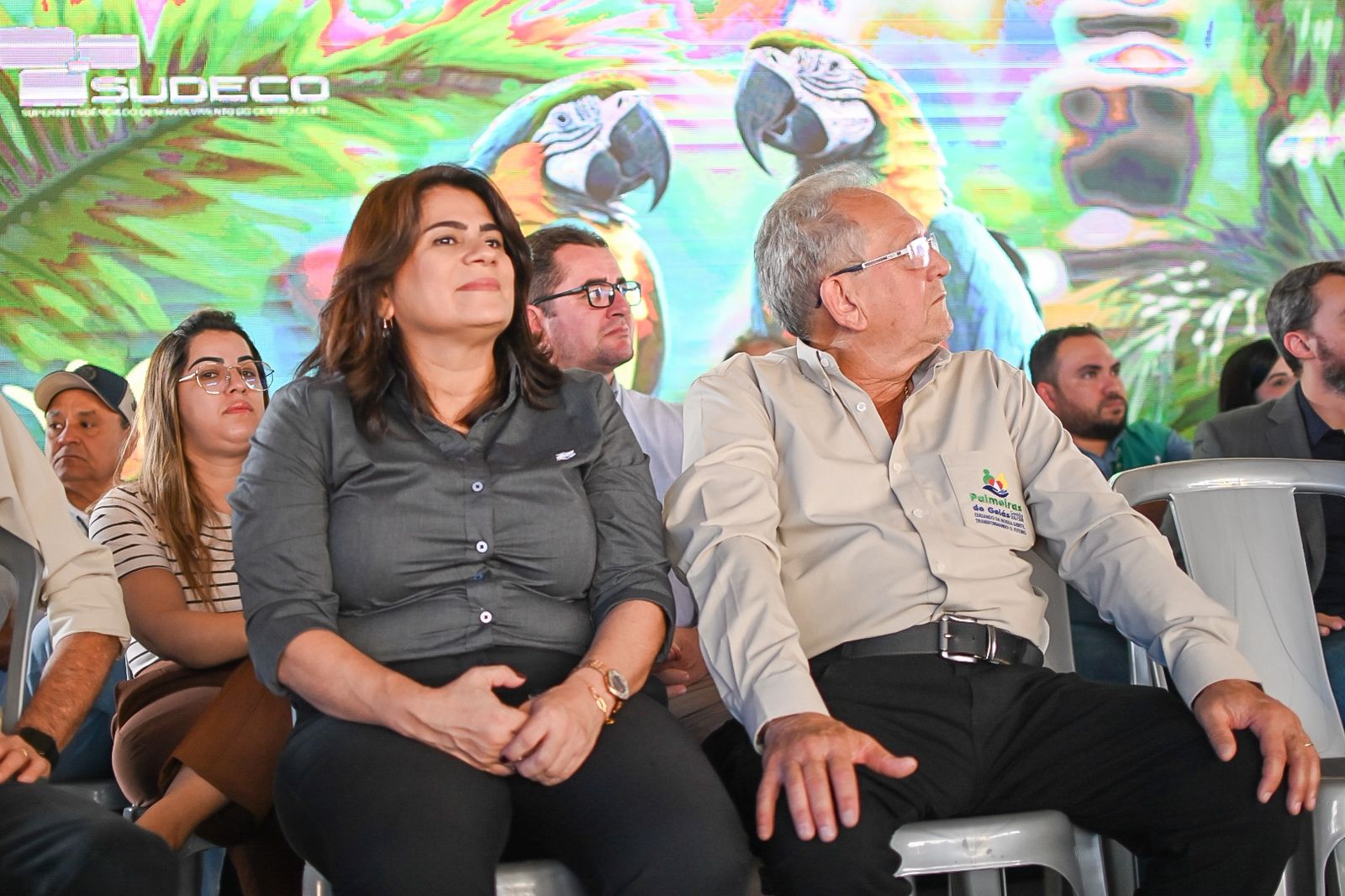 Palmeiras de Goiás - GO (40).jpg