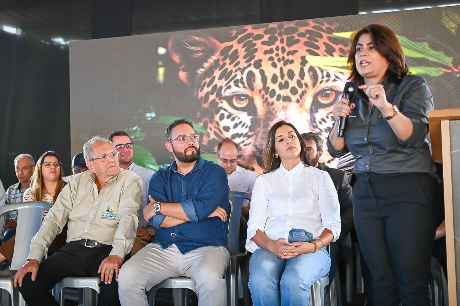 Palmeiras de Goiás - GO (46).jpg