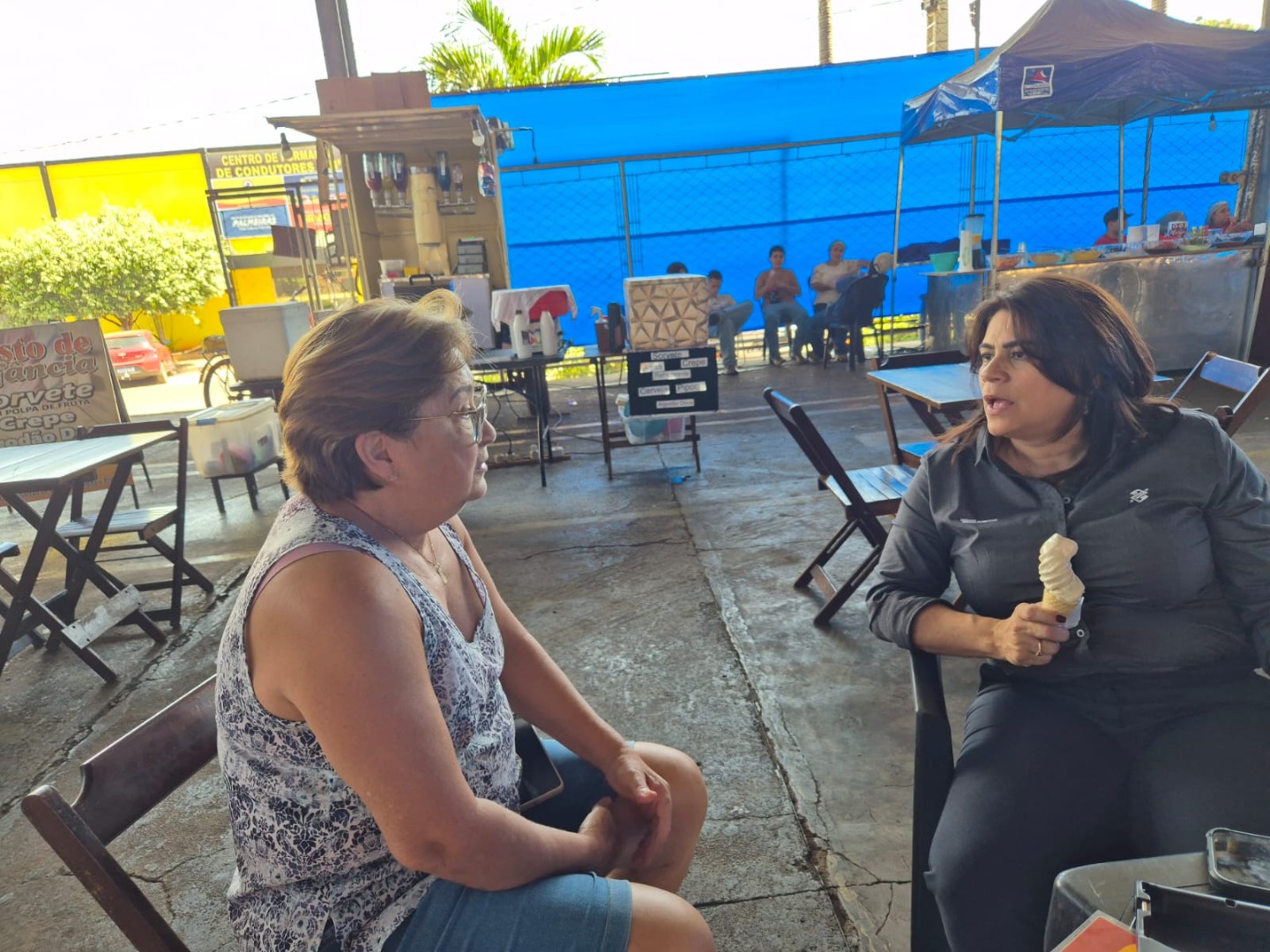 Palmeiras de Goiás - GO (48).jpg