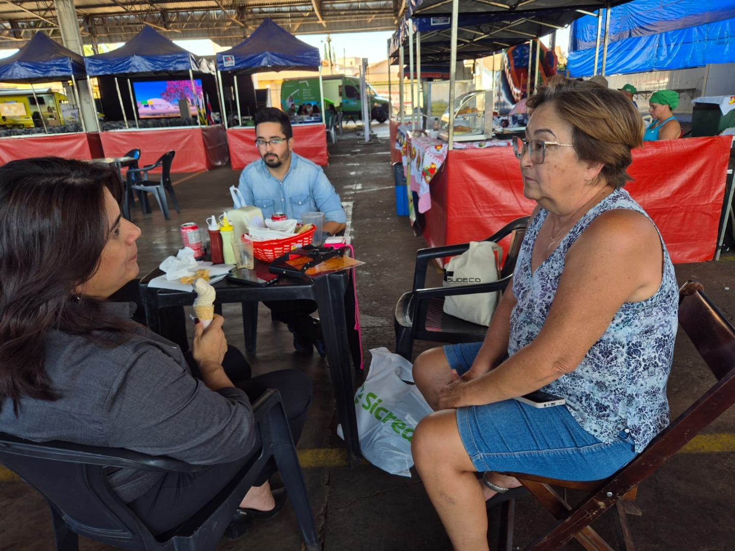 Palmeiras de Goiás - GO (51).jpg